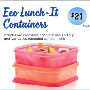 New Tupperware.  Eco Regular Lunch It Containers.